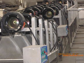 食品小包装除水沥水机风干流水线 现代化包装的得力助手